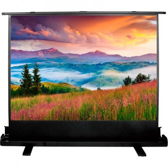 Экран CACTUS FLOOREXPERT CS-PSFLE-120x68, 53", 16:9, напольный, 120x68 см.