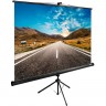 Экран CACTUS TRIEXPERT 92" 1:1 напольный, 160x160 см. CS-PSTE-160X160-BK