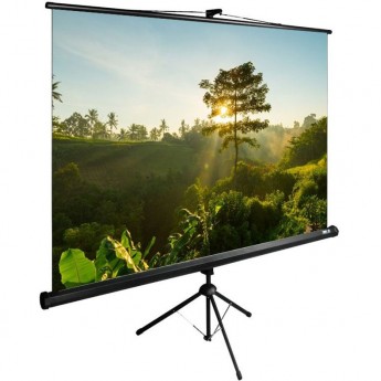 Экран CACTUS TRIEXPERT CS-PSTE-200х200-BK 115" 1:1 напольный (200х200 см.)