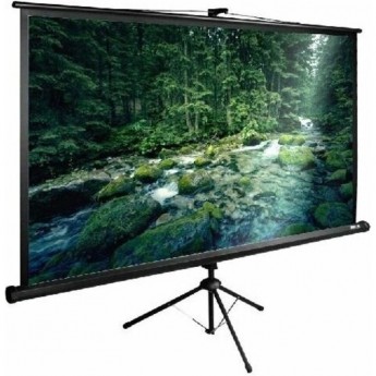 Экран CACTUS TriExpert CS-PSTE-220х165-BK 109" 4:3 напольный (220х165 см.)