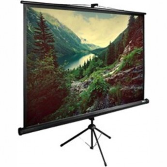 Экран CACTUS TriExpert CS-PSTE-220х220-BK 127" 1:1 напольный, 220х220 см.