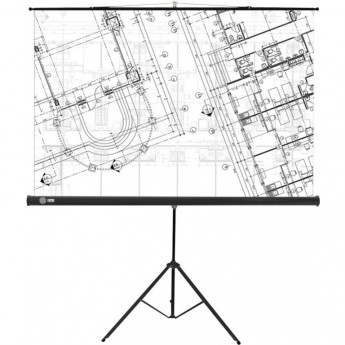 Экран CACTUS Triscreen CS-PST-127X127, 1:1, рулонный, белый, 127x127 см.