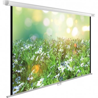 Экран CACTUS WallExpert CS-PSWE-200x200-WT, 1:1, настенно-потолочный, рулонные, 200x200 см.