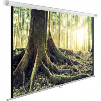 Экран CACTUS WallExpert CS-PSWE-220x220-WT, 1:1, настенно-потолочный, рулонный, 220x220 см.