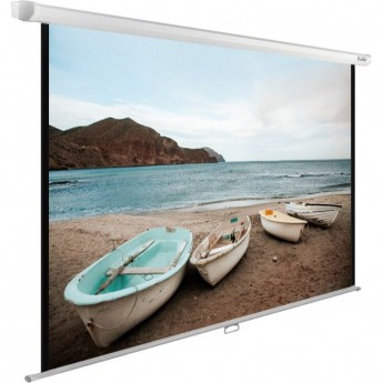 Экран CACTUS WallExpert CS-PSWE-220x138-WT, 16:10, настенно-потолочный, рулонные 220x138 см.