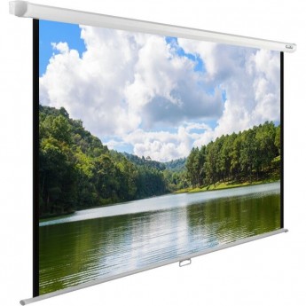 Экран CACTUS WallExpert CS-PSWE-240x150-WT, 16:10, настенно-потолочный, рулонные, 240x150 см.