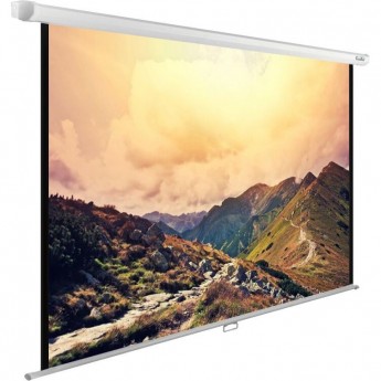 Экран CACTUS WallExpert CS-PSWE-240x180-WT, 4:3, настенно-потолочный, рулонные 180x240 см.