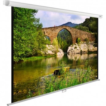 Экран CACTUS WallExpert CS-PSWE-220x165-WT, 4:3, настенно-потолочный, рулонный, 220x165 см.