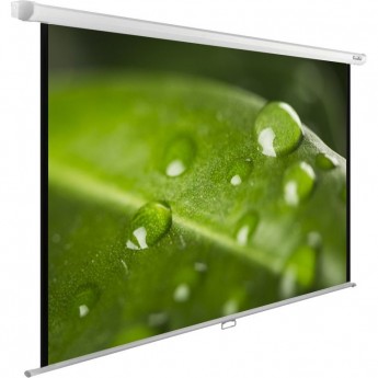 Экран CACTUS WALLEXPERT CS-PSWE-200x150-WT, 99", 4:3, настенно-потолочный, 200x150 см.