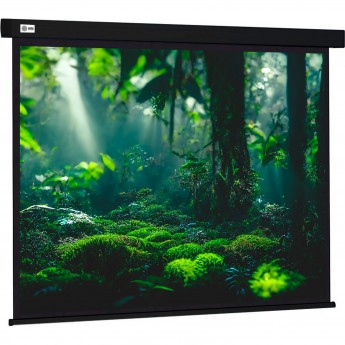 Экран CACTUS WALLSCREEN CS-PSW-213X213-BK, 1:1, настенно-потолочный, корпус черный, 213x213 см.