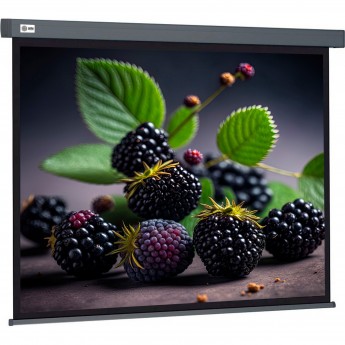 Экран CACTUS WALLSCREEN CS-PSW-127X127-SG, 1:1, настенно-потолочный, корпус серый, 127x127 см.