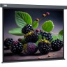 Экран CACTUS WALLSCREEN , 1:1, настенно-потолочный, корпус серый, 127x127 см. CS-PSW-127X127-SG